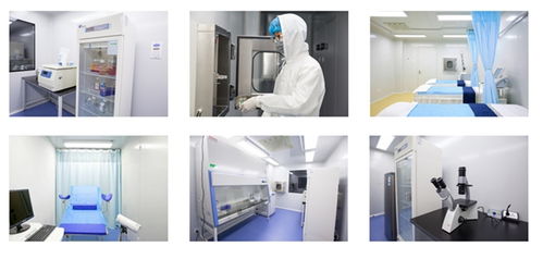 史迪姆科技 功能性干細胞衍生系列產品研發與制造新突破